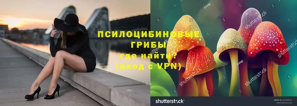 гидропоника Аркадак