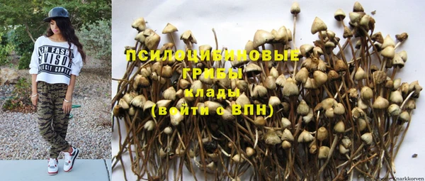 гидропоника Аркадак