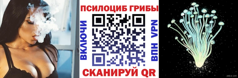 Купить закладки  Гудермес  Псилоцибиновые грибы MAGIC MUSHROOMS 